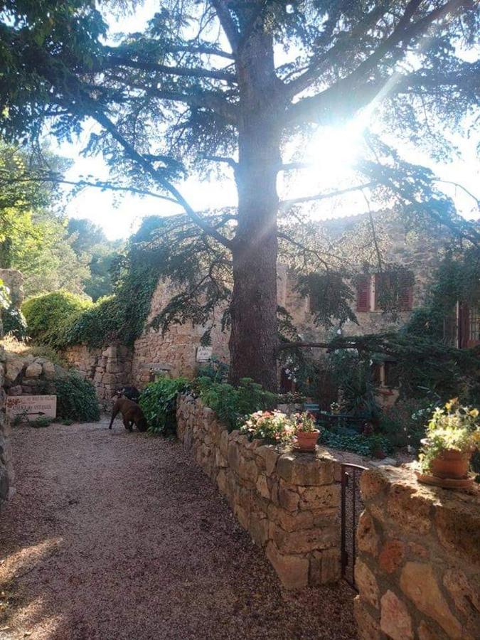4 Safraniers Bed & Breakfast Sillans-la Cascade Exterior photo